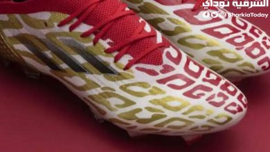 سعر حذاء محمد صلاح الجديد