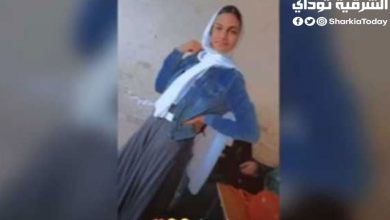 واقعة هايدي بنت الشرقية