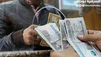 شهادات البنك الأهلي