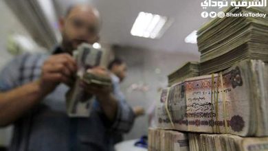 أعلى 10 شهادات ثلاثية متغيرة