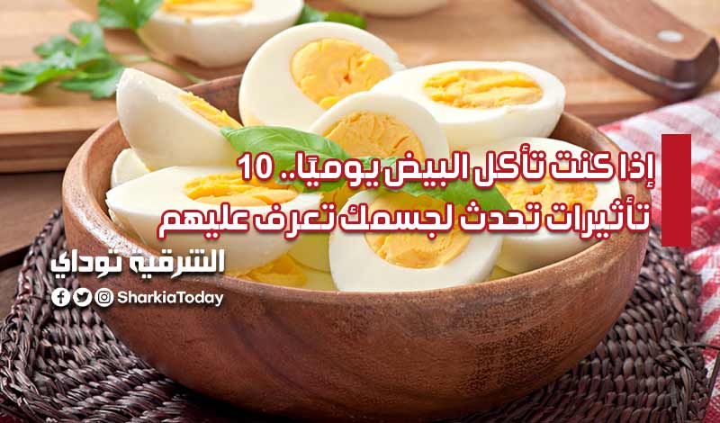 إذا كنت تأكل البيض يوميًا.. 10 تأثيرات تحدث لجسمك تعرف عليهم