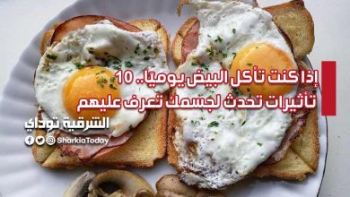 إذا كنت تأكل البيض يوميًا.. 10 تأثيرات تحدث لجسمك تعرف عليهم