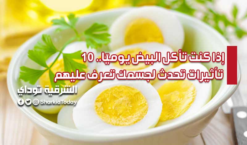 إذا كنت تأكل البيض يوميًا.. 10 تأثيرات تحدث لجسمك تعرف عليهم