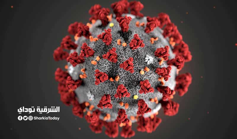 العطس وفقدان التذوق.. الأعراض المبكرة لمتحور أوميكرون 2 الأعراض المبكرة لمتحور أوميكرون