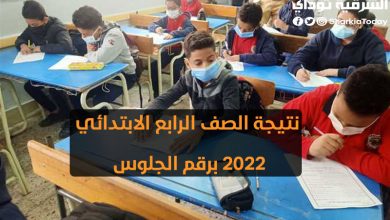رابط نتيجة الصف الرابع الابتدائي 2022 برقم الجلوس 8 رابط نتيجة الصف الرابع الابتدائي
