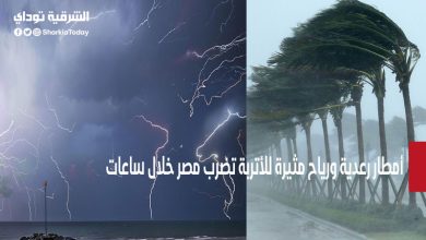 رياح مثيرة للأتربة تضرب مصر خلال ساعات