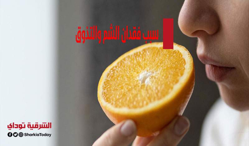 أخيرًا.. دراسة تكشف عن سبب فقدان الشم والتذوق عند الإصابة بكورونا 3 سبب فقدان الشم والتذوق