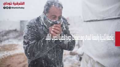 عاصفة ثلجية واسعة المدى