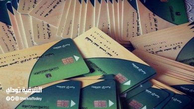 قرار هام بشأن بيانات البطاقات التموينية 1 بيانات البطاقات التموينية