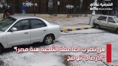 هل تضرب العاصفة الثلجية هبة مصر؟ مدير مركز التنبؤات الجوية بـ "الأرصاد" يوضح 10 هل تضرب العاصفة الثلجية هبة مصر؟
