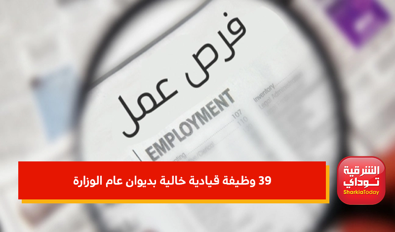 وظائف القوى العاملة 2022.. 39 وظيفة قيادية خالية بديوان عام الوزارة 1 وظائف القوى العاملة 2022