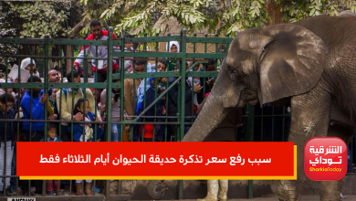 سعر تذكرة حديقة الحيوان
