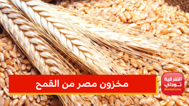 مخزون مصر من القمح