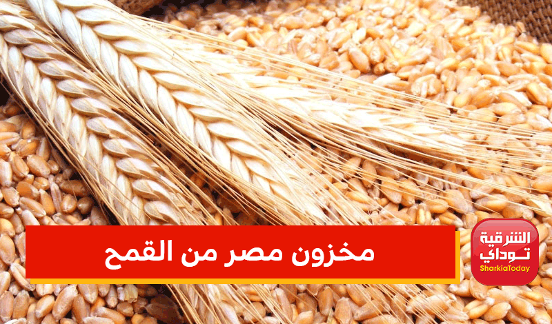 مخزون مصر من القمح