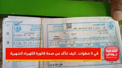 فاتورة الكهرباء الشهرية