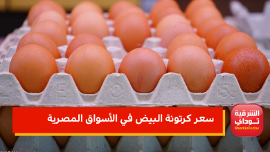 سعر كرتونة البيض