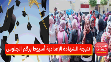 أسيوط