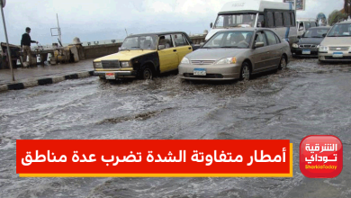 أمطار متفاوتة الشدة تضرب عدة مناطق 2.png 5