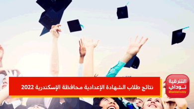 اسكندرياااا ويب