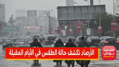 الأرصاد تكشف حالة الطقس في الأيام المقبلة: أمطار متفرقة وثلوج.. وهذا موعد استقرار الأحوال الجوية 12 الأرصاد تكشف حالة الطقس في الأيام المقبلة