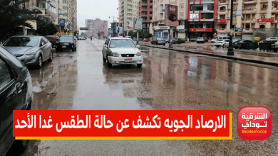 الارصاد الجويه تكشف عن حالة الطقس غدا الأحد