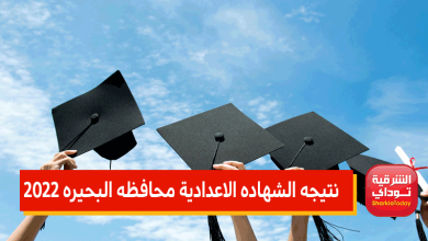 "اعرفها في لحظة".. نتيجه الشهاده الاعداديه البحيره 2022 برقم الجلوس 17 البحيرة