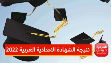 "رسميًا الآن".. نتيجة الشهادة الاعدادية الغربية 2022 برقم الجلوس "رابط سريع" 16 الغربيه