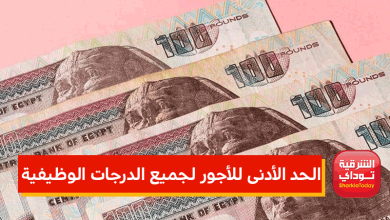 بزيادة 300 جنيه.. الحكومة تقر مشروع قانون زيادة المرتبات 7