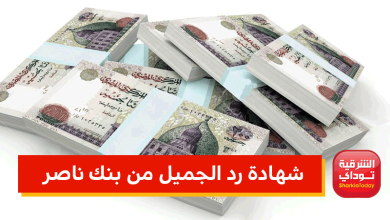 بعائد 11.25%.. شهادة إدخار بنك ناصر بعائد شهري 13 شهادة إدخار بنك ناصر
