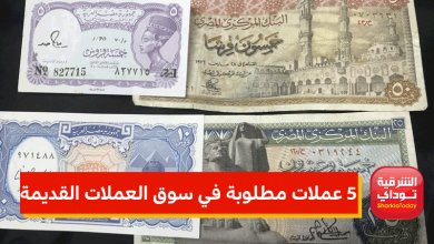 سعرها يصل مليون جنيه .. 5 عملات مطلوبة في سوق العملات القديمة 6 سوق العملات القديمة