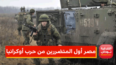 مصر أول المتضررين من حرب أوكرانيا 6 مصر أول المتضررين من حرب أوكرانيا
