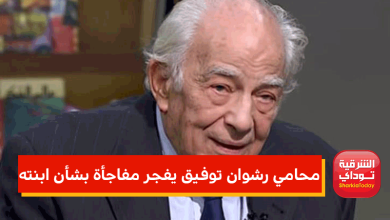 محامي رشوان توفيق
