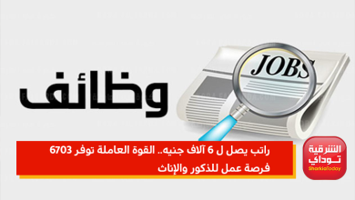 راتب يصل ل 6 آلاف جنيه.. القوة العاملة توفر 6703 فرصة عمل للذكور والإناث 8 فرصة عمل للذكور والإناث