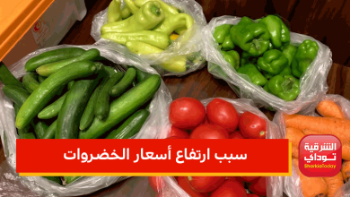 بعد صعود كبير.. سبب ارتفاع أسعار الخضروات في الأسواق حاليًا.. مصدر يوضح 6 سبب ارتفاع أسعار الخضروات