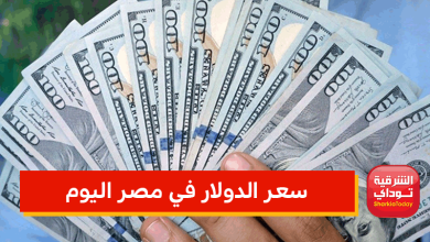 سعر الدولار في مصر اليوم هل تأثر بالحرب في أوكرانيا 1 سعر الدولار في مصر اليوم