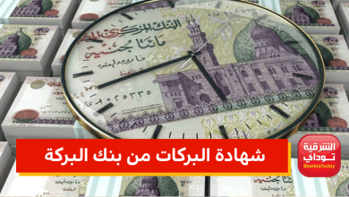 شهادة البركات بنك البركة
