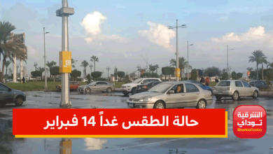 في عيد الحب.. تعرف على حالة الطقس غداً 14 فبراير 4 حالة الطقس غداً