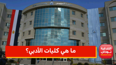 ما هي كليات الأدبي؟ والحد الأدنى للقبول.. قائمة كاملة 2022 6 ما هي كليات الأدبي؟