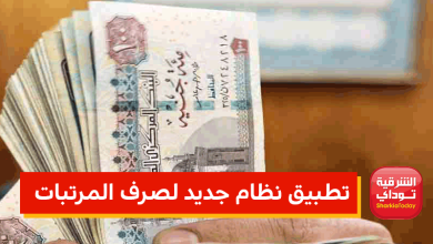 احصل على 30% مقدماً.. تطبيق نظام جديد لصرف المرتبات 11 تطبيق نظام جديد لصرف المرتبات