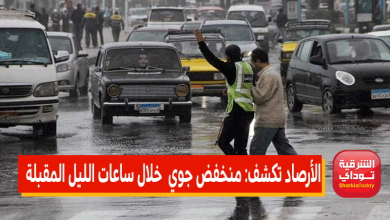 أمطار رعدية ورياح.. الأرصاد تحذر المواطنين: منخفض جوي خلال الساعات المقبلة 4 منخفض جوي 8