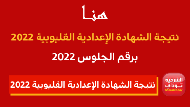 "متاح حاليًا وسريع".. هُنا لينك نتيجة الشهادة الإعدادية القليوبية 2022 الترم الأول 2 لينك نتيجة الشهادة الإعدادية القليوبية 2022 الترم الأول