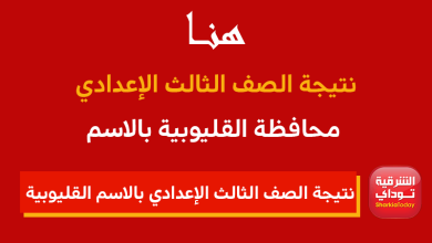 "بالدرجات من هُنا".. نتيجة الصف الثالث الإعدادي بالاسم ورقم الجلوس محافظة القليوبية 2022 4 نتيجة الصف الثالث الإعدادي بالاسم ورقم الجلوس محافظة القليوبية 2022