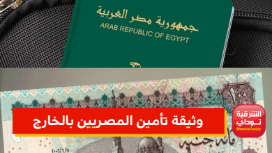 وثيقة تأمين المصريين بالخارج