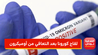 هل يجب الحصول على لقاح كورونا بعد التعافي من أوميكرون مباشرةً؟ و4 فئات ممنوعة من التطعيم 4 لقاح كورونا بعد التعافي من أوميكرون