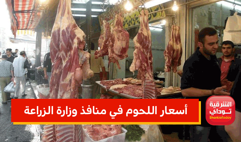"الكيلو أرخص من المحلات 70 جنيه".. ننشر أسعار اللحوم في منافذ وزارة الزراعة اليوم 8 أسعار اللحوم في منافذ وزارة الزراعة