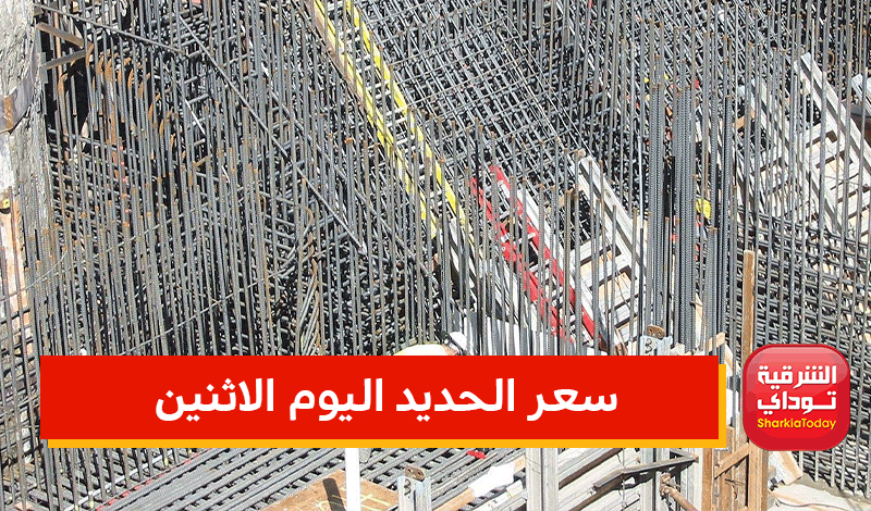 ارتفاع أسعار مواد البناء في مصر
