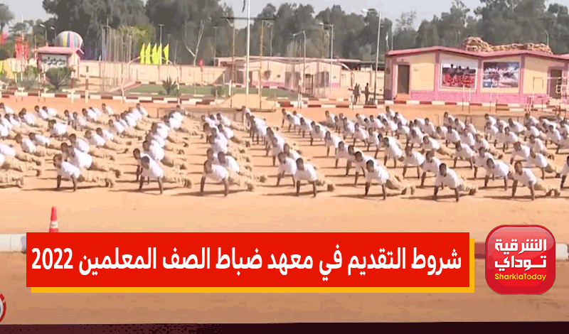 قدم الآن.. موقع تقديم معهد ضباط الصف 2022 أو التطوع في الجيش 2 شروط التقديم في معهد ضباط الصف المعلمين 2022