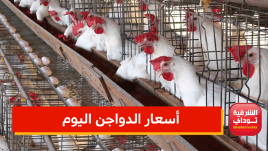 أسعار الدواجن اليوم في محلات الطيور 1 أسعار الدواجن اليوم