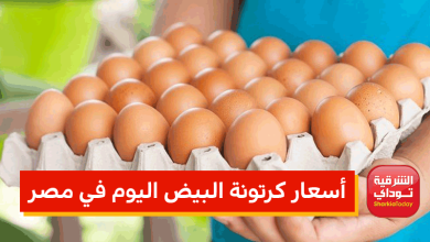 أسعار كرتونة البيض اليوم