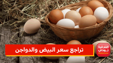 تراجع سعر البيض والدواجن